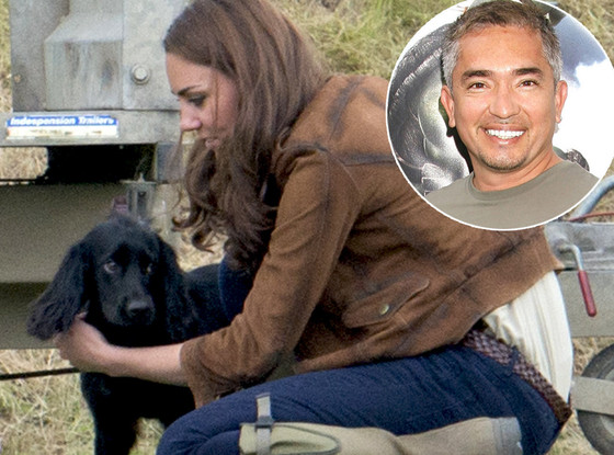 Duchess Of Cambridge, Kate Middleton, Lupo Duchess Of Cambridge, Kate Middleton, Lupo